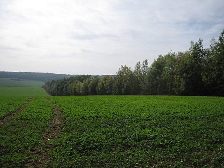 Emplacement de la future décharge