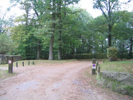 L‘entrée de la forêt