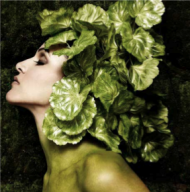 la coiffure salade
