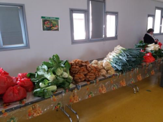 Distribution des paniers 1
